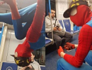 Человек-паук устроил настоящий цирк в московском метро
