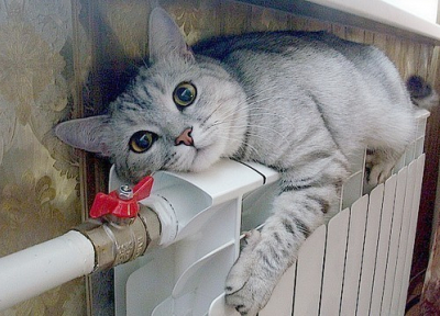 Коми будет сама решать вопросы продолжительности отопительного сезона